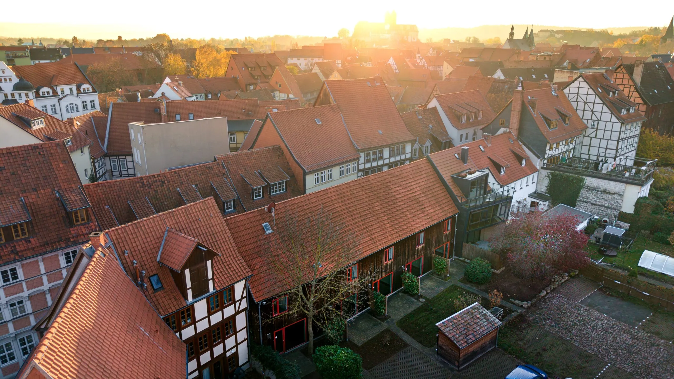 Holzhaus mit Garten und Büschen