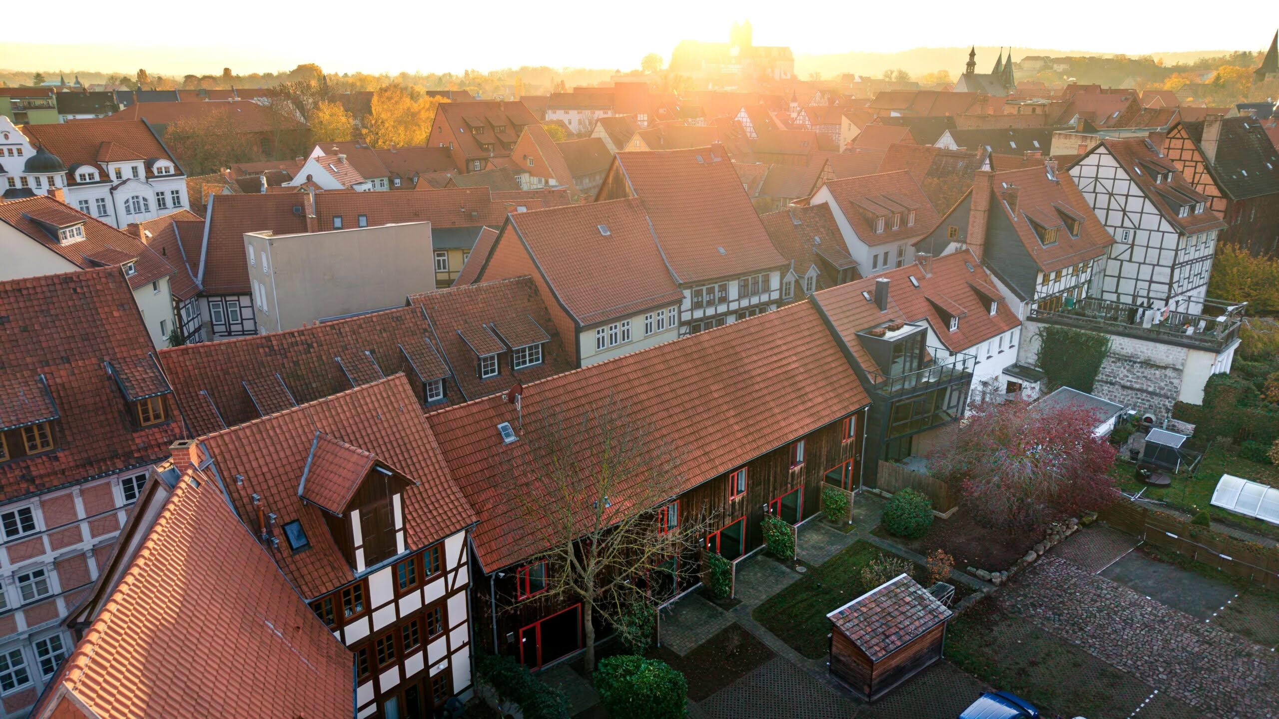 Holzhaus mit Garten und Büschen